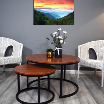 Industrial Style Walnut Round Set Of 2 Coffee Tables